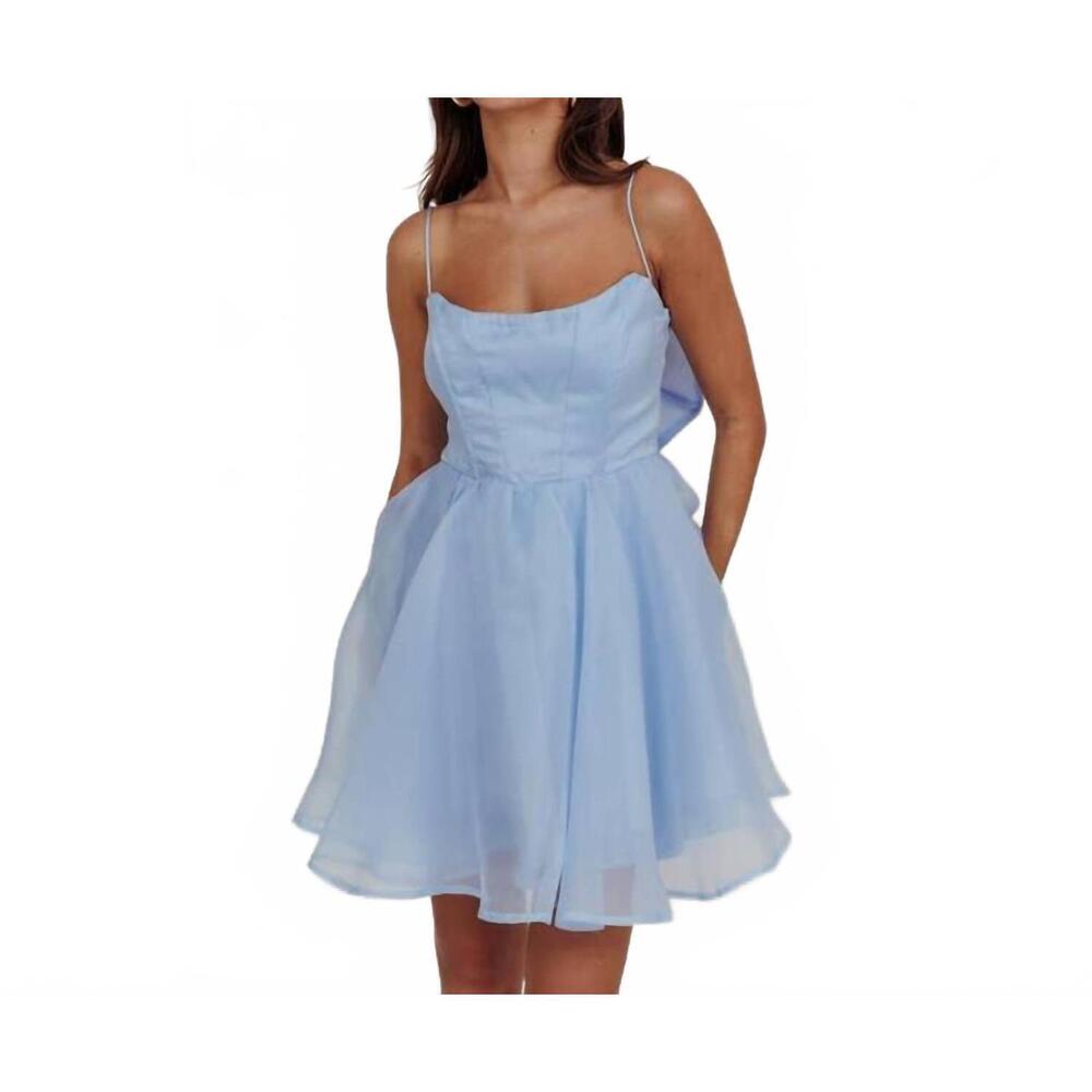NEW ONE AND ONLY COLLECTIVE sleeveless organza mini dress in baby blue